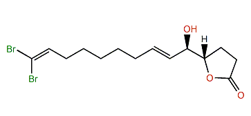 Xestospongiene L